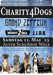 Rock for Dogs!