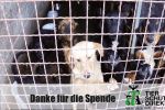 Danke für die Spende 4