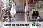 Danke für die Spende 5