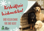 Weihnachtskarte 20