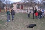 trovanje pasa u gradu Loznici  - pored skole !